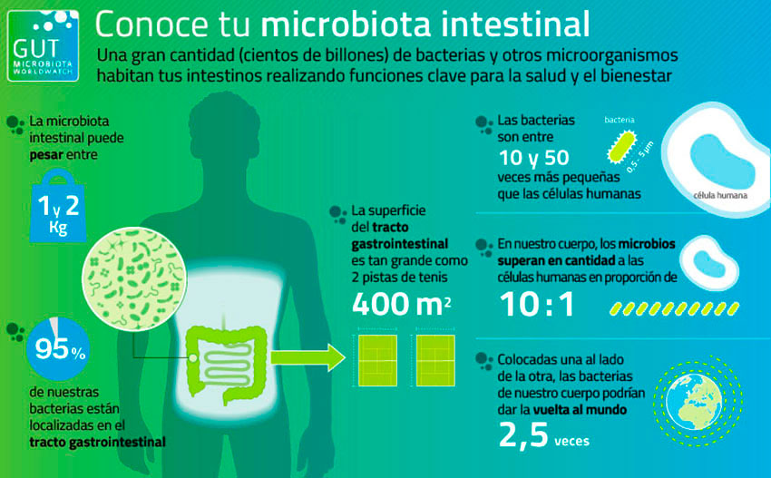 Conoce tu microbiota intestinal