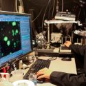 Transmitir órdenes a las bacterias mediante superficies tratadas químicamente
