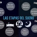 Las etapas del sueño