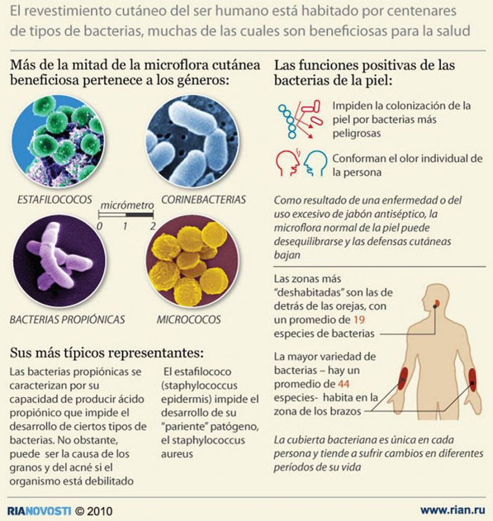 Bacterias beneficas para la salud