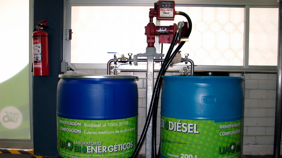 Científicos mexicanos obtienen existosos resultados en la producción de biocombustibles