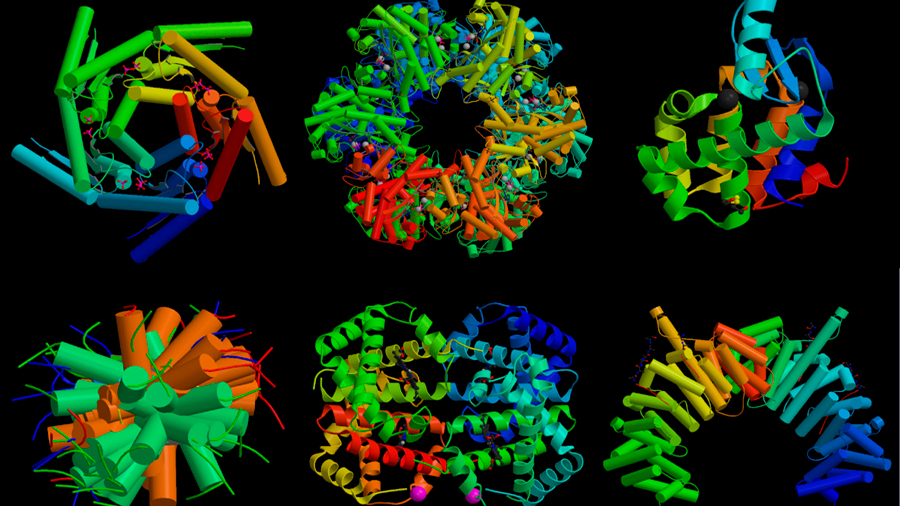 La complejísima y fundamental proteína que se dobla de mil formas