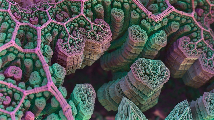 Estas misteriosas estructuras han sido descubiertas en una bacteria