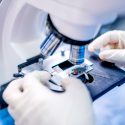 Resucitan proteínas de animales de más de 100 millones de años y deducen su tamaño