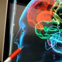 Científicos identifican un gen del cerebro que causa depresión