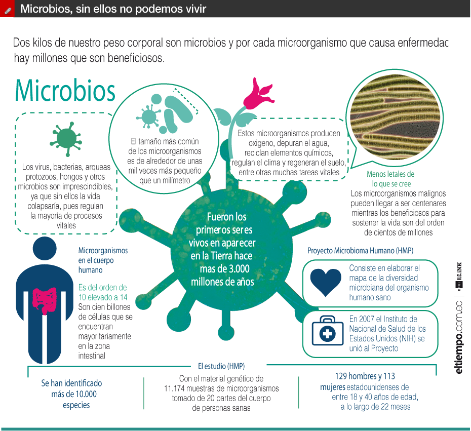 Microbios, sin ellos no podemos vivir