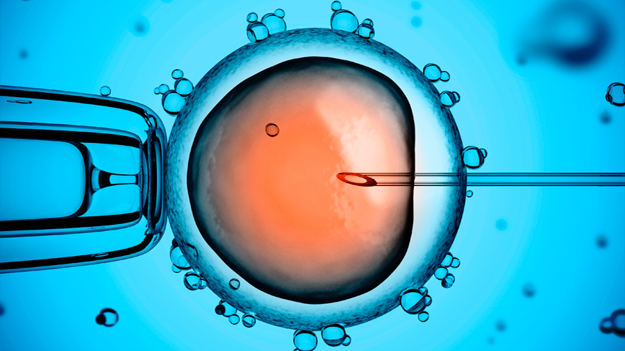 Estados Unidos edita por primera vez los genes de embriones humanos