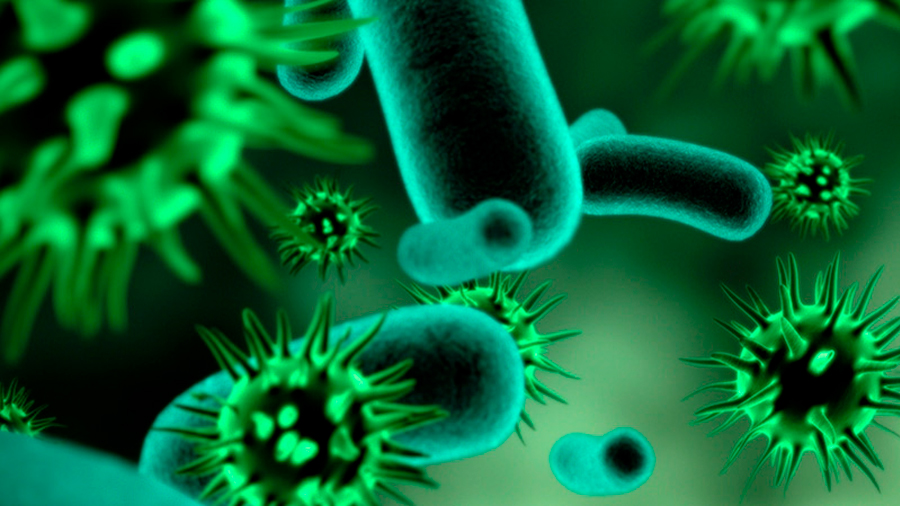 ‘Nanobásculas’ para pesar virus y bacterias en la detección de enfermedades