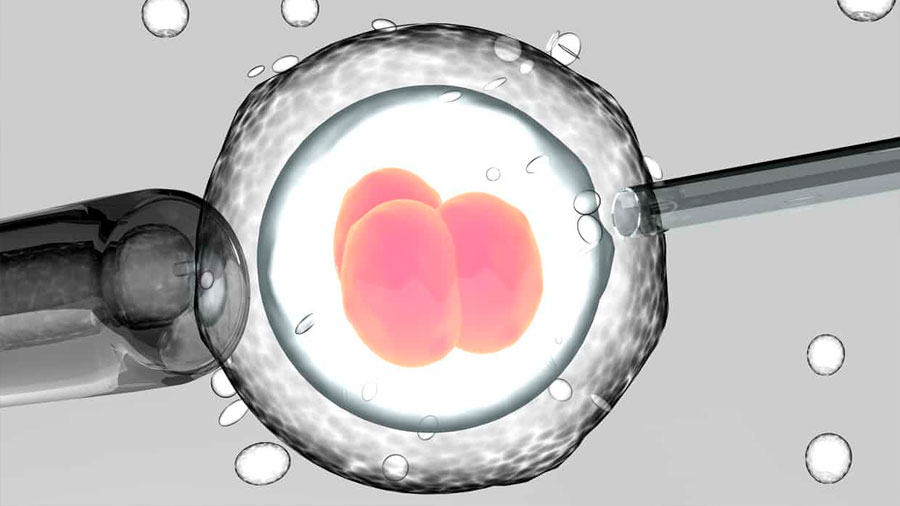 Logran por primera vez corregir una mutación en embriones humanos