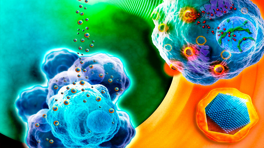 Investigadores crean nanopartícula que activa células contra el cáncer