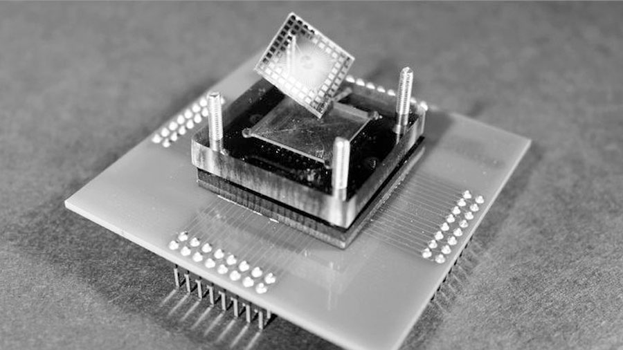 Crean un microchip que detecta explosivos con el olfato