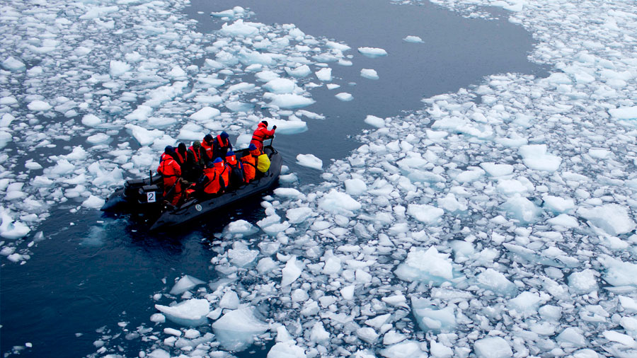 Investigadores calientan un grado las aguas del Antártico y se sorprenden del resultado