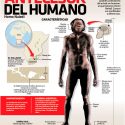 Antecesor del humano