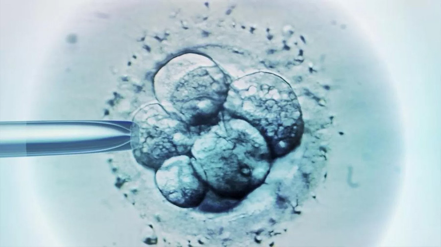 Modifican genoma de 41 embriones humanos en GB