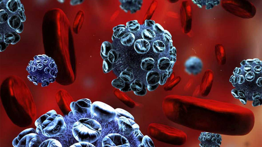Desarrollan un nuevo anticuerpo capaz de eliminar el 99% de las mutaciones del VIH