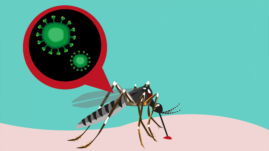 Descubren por qué el virus del Zika se volvió tan peligroso