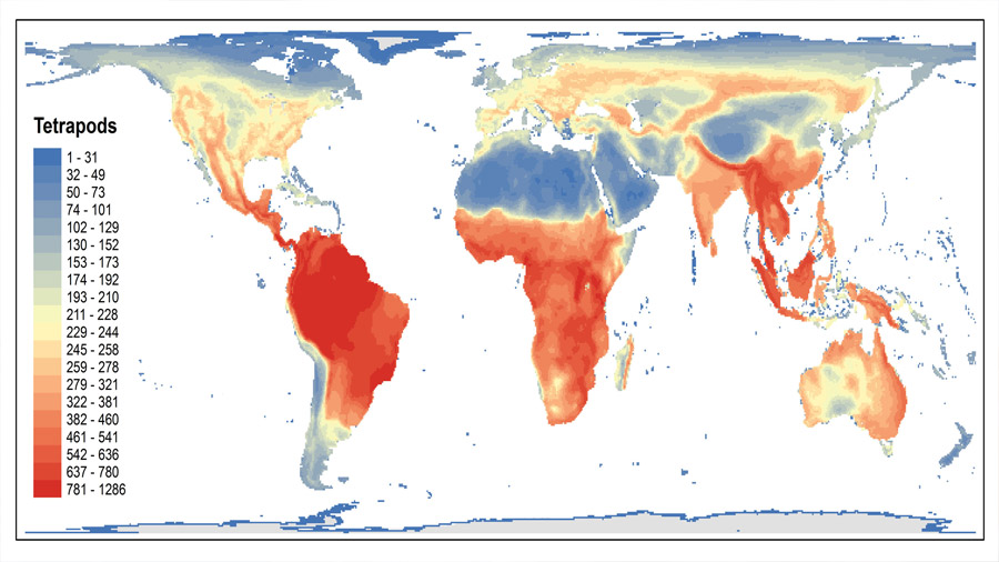 Se completa el 'atlas de la vida' de vertebrados a escala mundial