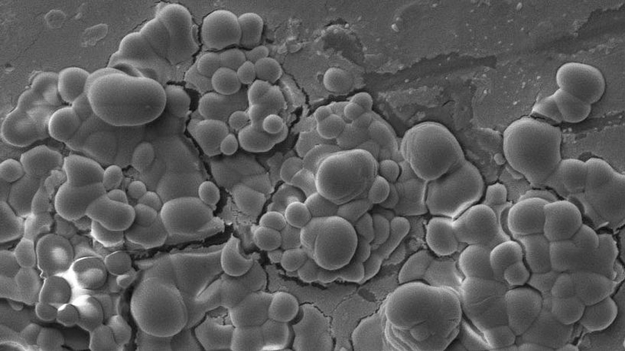 Microbios interaccionan y dejan sus huellas en rocas como las de Marte