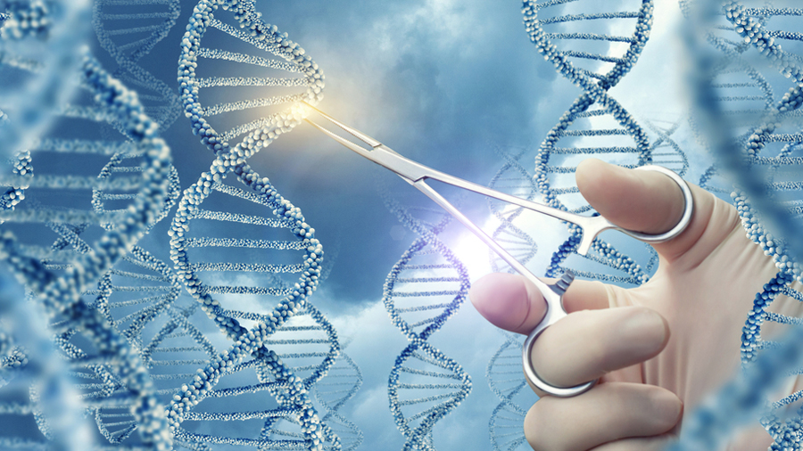 Nuevas versiones del editor CRISPR nos acercan al sueño de curar enfermedades genéticas