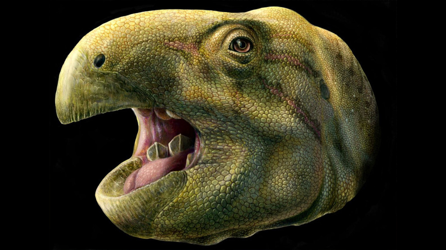 Descubierto en Francia un dinosaurio con dientes en forma de tijeras