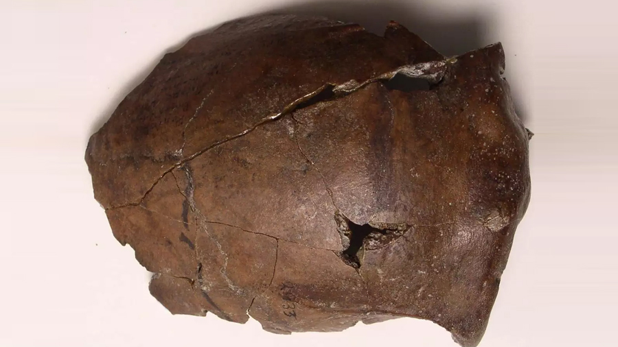 Un cráneo de 6,000 años se asigna a la primera víctima de un tsunami