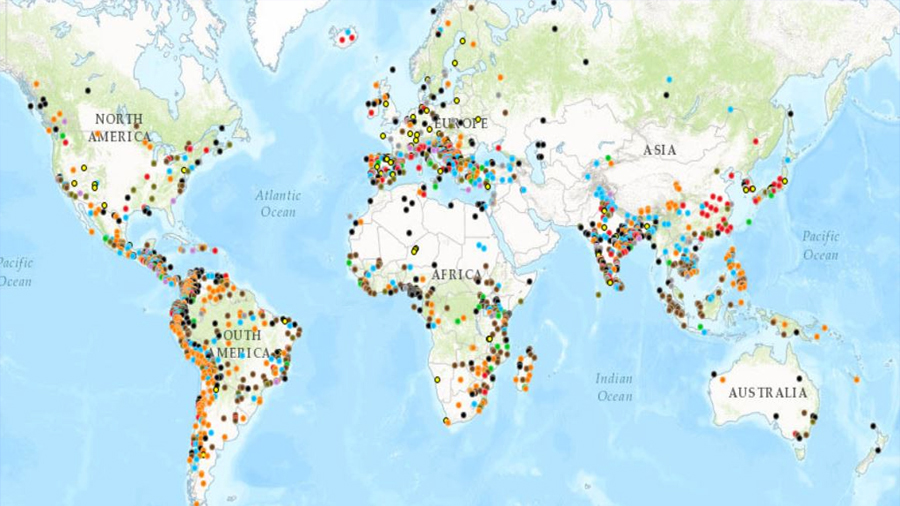 En un mapa interactivo ahora se pueden seguir todos los movimientos contra los combustibles fósiles