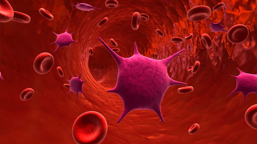 Nanopartículas “despistan” al sistema inmune para evitar inflamación