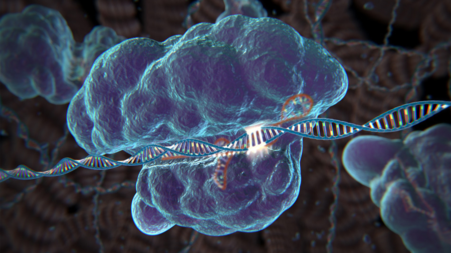Usan CRISPR para detectar mutaciones en el ADN