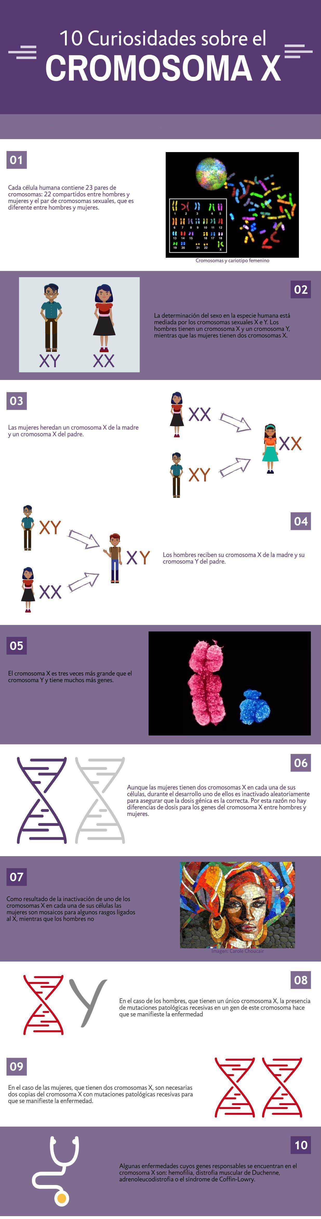 10 Curiosidades sobre el cromosoma X