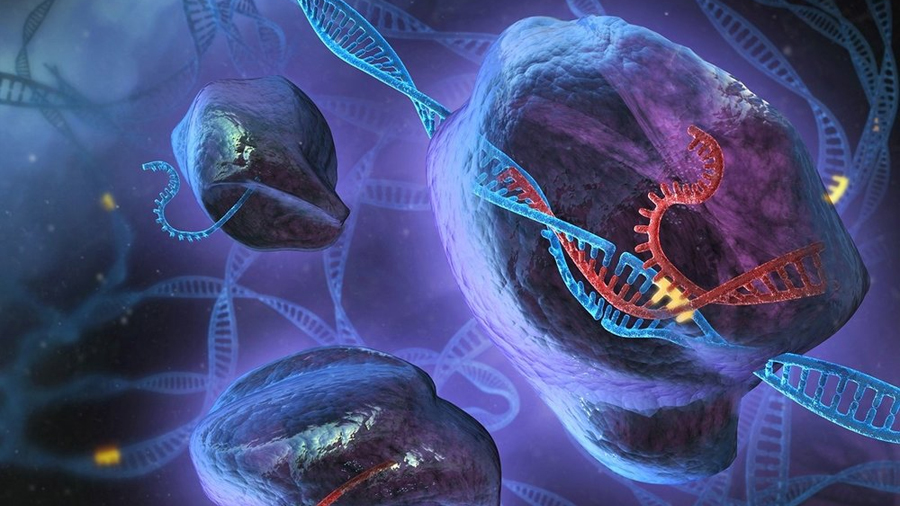 El editor genético CRISPR explicado para principiantes