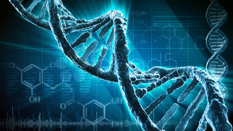Científicos logran que el ADN natural y artificial creen proteínas en conjunto