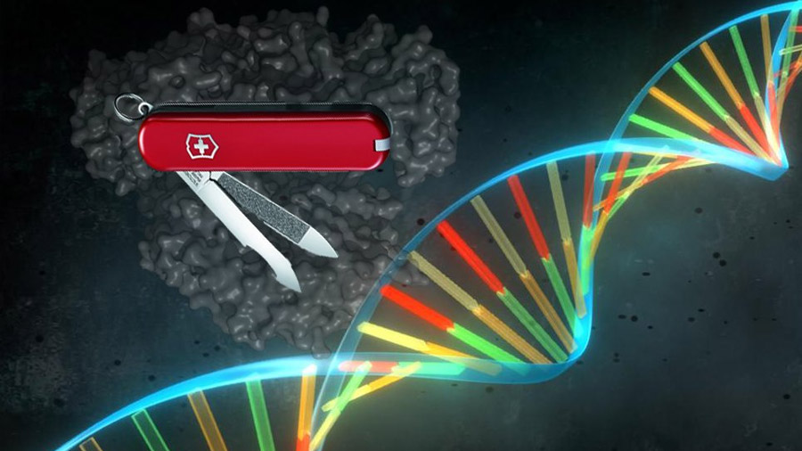 En busca de la ‘navaja suiza’ de CRISPR