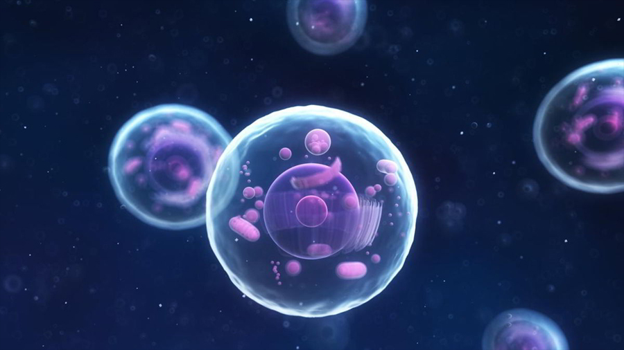 Las células exploran el entorno mediante un ‘tanteo nanométrico’