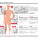 Sistemas de identificación biométricos