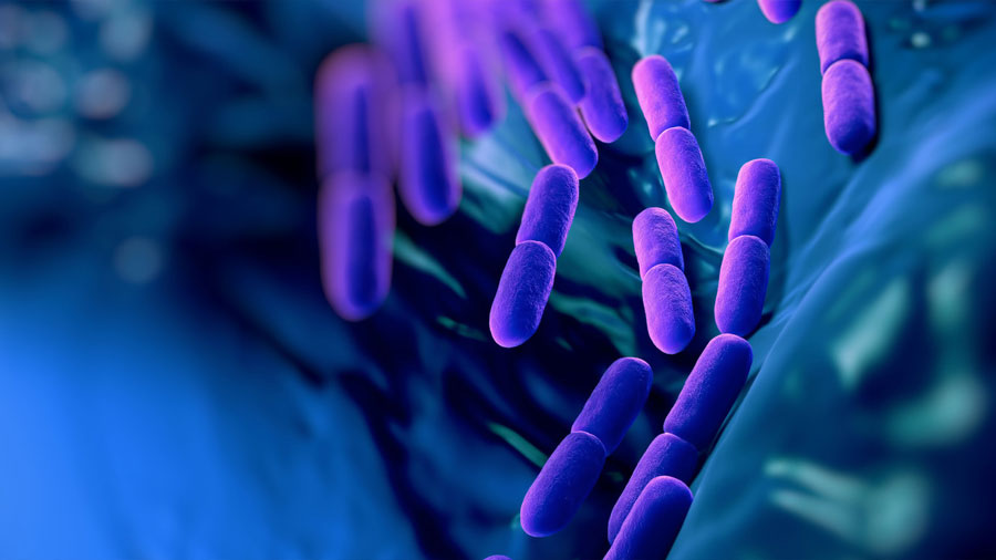 Descubren bacterias acuáticas capaces de degradar cianotoxinas