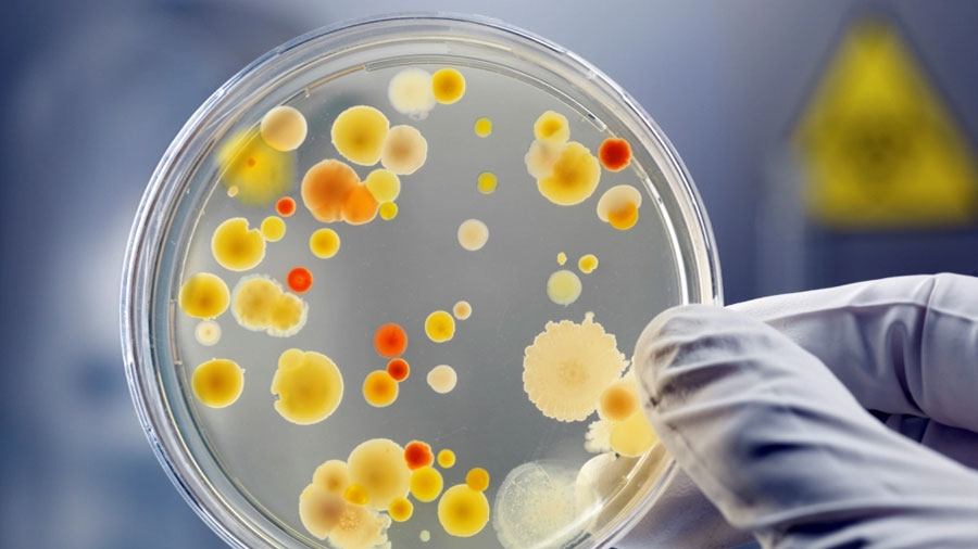 Científicos de EU descubren forma de impulsar capacidad de antibióticos