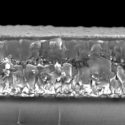 Descubren un cristal cuántico capaz de olvidar como lo hace el cerebro