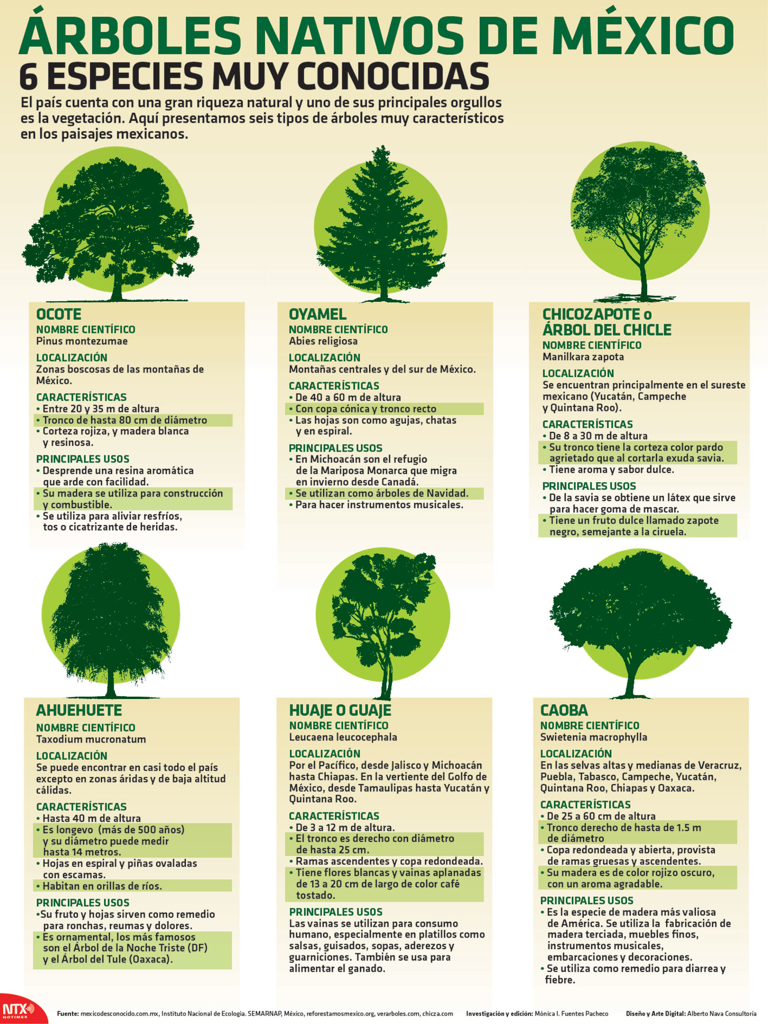 Details 48 nombres de árboles mexicanos