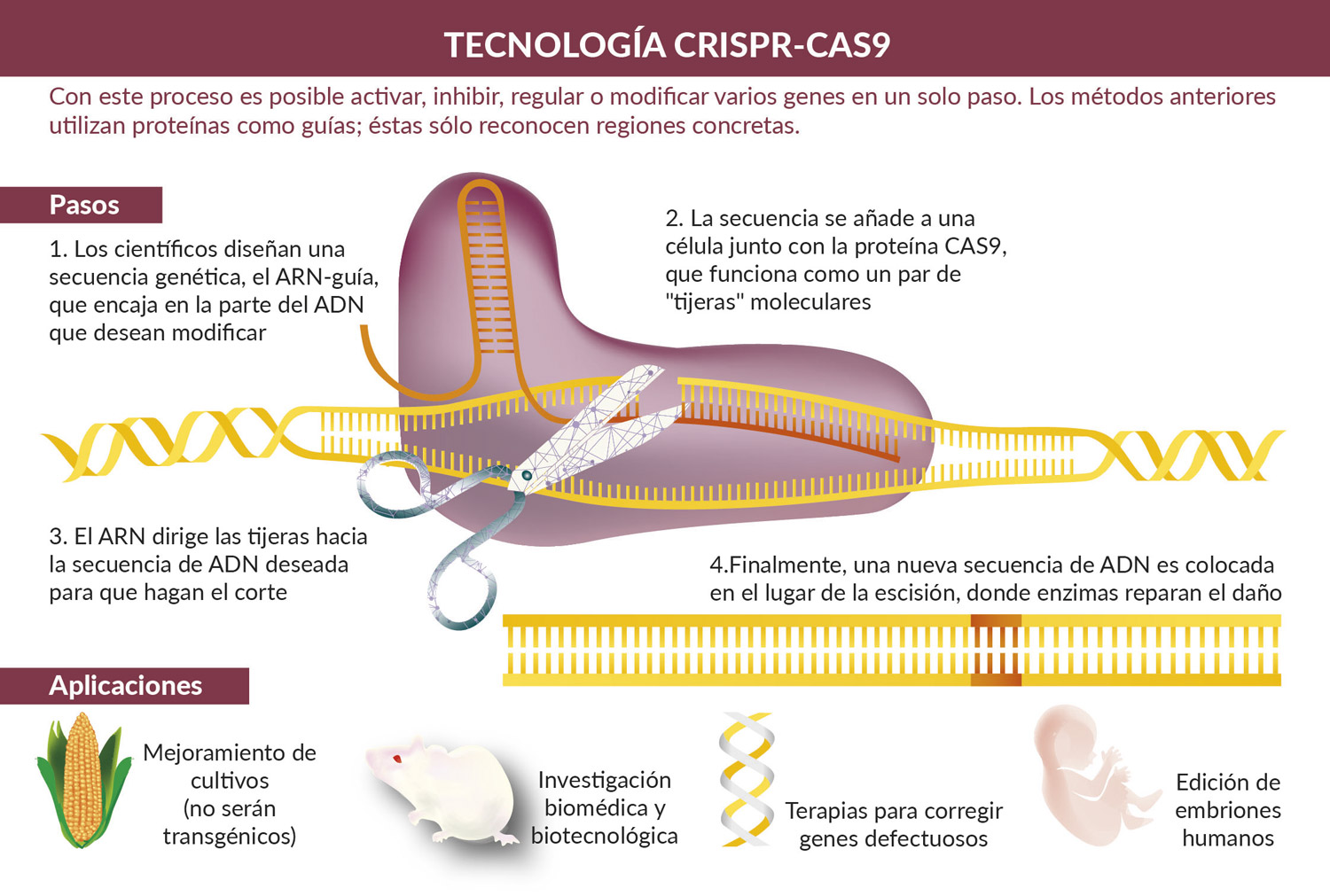 Tecnología CRISPR/Cas9