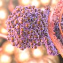 Científicos descubren mecanismo que permite a células cancerosas desplazarse y multiplicarse