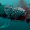 Así fue uno de los primeros vertebrados hace más de 350 millones de años