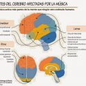 Partes del cerebro afectadas por la música