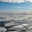 Sorprendentes evidencias de rápido cambio de clima en el Ártico