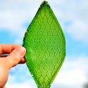 Desarrollan la primera hoja artificial capaz de crear oxígeno