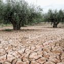 Un estudio predice que el mundo será un lugar mucho más árido con 2ºC más
