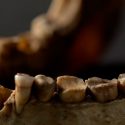 Los humanos llegaban comúnmente a 70 años antes de la medicina moderna