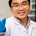 Un corazón en un chip para modelar enfermedades humanas