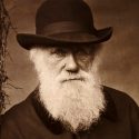 El día que Darwin quiso descubrir si el color del cabello afecta a la capacidad de las mujeres para encontrar pareja