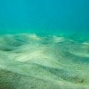 Científicos encuentran evidencias de vida submarina a cuatro veces más profundidad de la que se pensaba