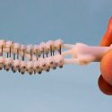 Un endoscopio autopropulsado: ¿Lo dejarías entrar en tu cuerpo?